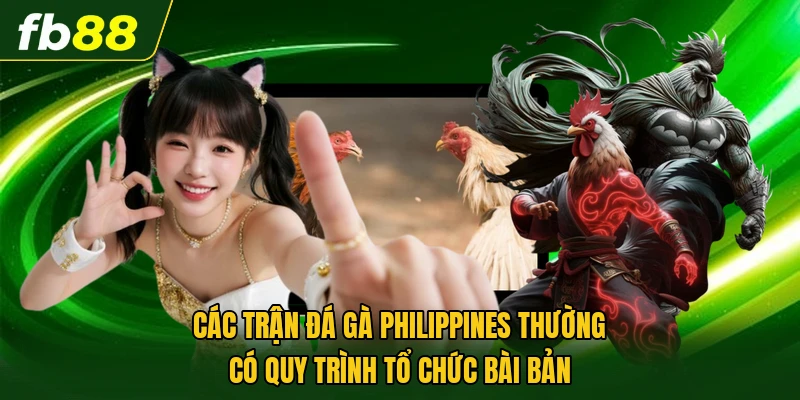 Các trận đá gà Philippines thường có quy trình tổ chức bài bản
