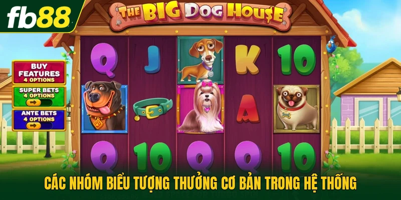 Các nhóm biểu tượng thưởng cơ bản trong hệ thống