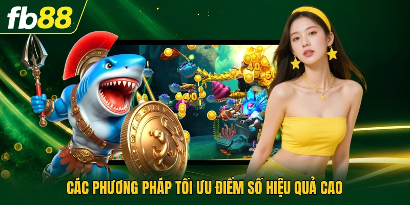 Các phương pháp tối ưu điểm số hiệu quả cao