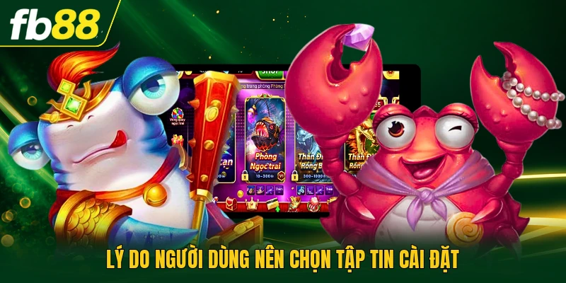 Lý do người dùng nên chọn tập tin cài đặt